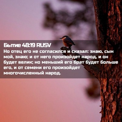 Picture 02 - Бытие 48:19 RUSV - Но отец его не согласился и - Bible Verse Picture