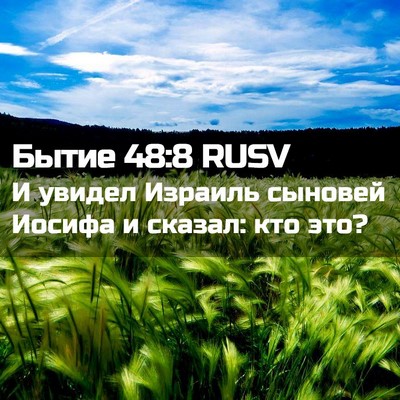 Picture 02 - Бытие 48:8 RUSV - И увидел Израиль сыновей - Bible Verse Picture