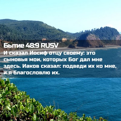 Picture 02 - Бытие 48:9 RUSV - И сказал Иосиф отцу своему: - Bible Verse Picture