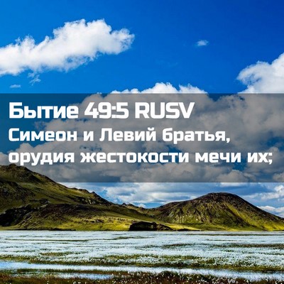 Picture 02 - Бытие 49:5 RUSV - Симеон и Левий братья, - Bible Verse Picture