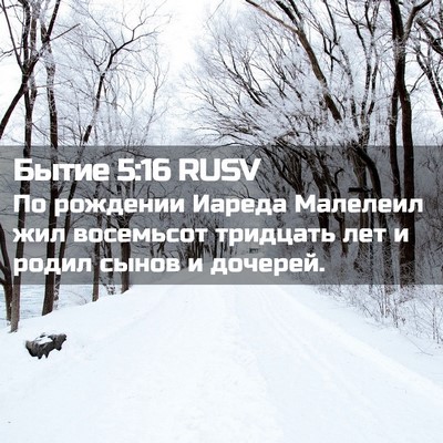 Picture 02 - Бытие 5:16 RUSV - По рождении Иареда - Bible Verse Picture