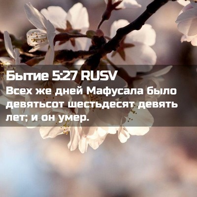Picture 02 - Бытие 5:27 RUSV - Всех же дней Мафусала было - Bible Verse Picture