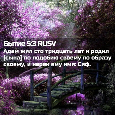 Picture 02 - Бытие 5:3 RUSV - Адам жил сто тридцать лет и - Bible Verse Picture