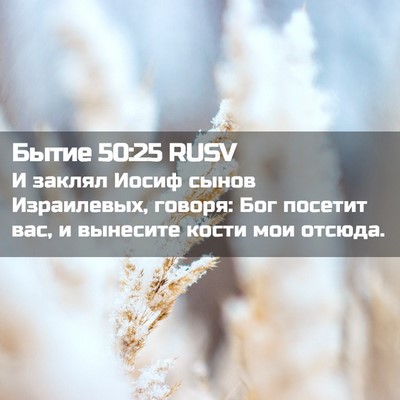 Picture 02 - Бытие 50:25 RUSV - И заклял Иосиф сынов - Bible Verse Picture