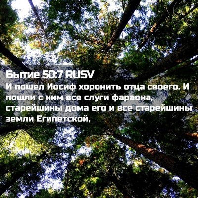 Picture 02 - Бытие 50:7 RUSV - И пошел Иосиф хоронить - Bible Verse Picture