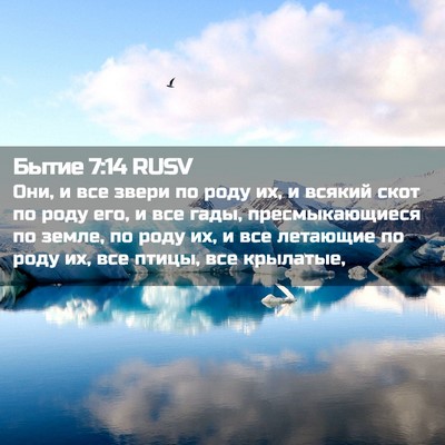 Picture 02 - Бытие 7:14 RUSV - Они, и все звери по роду их, - Bible Verse Picture
