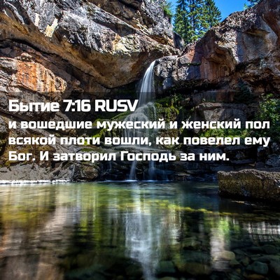 Picture 02 - Бытие 7:16 RUSV - и вошедшие мужеский и - Bible Verse Picture