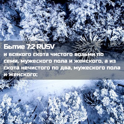 Picture 02 - Бытие 7:2 RUSV - и всякого скота чистого - Bible Verse Picture