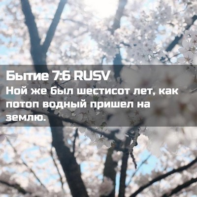 Picture 02 - Бытие 7:6 RUSV - Ной же был шестисот лет, - Bible Verse Picture