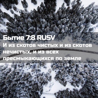 Picture 02 - Бытие 7:8 RUSV - И из скотов чистых и из - Bible Verse Picture