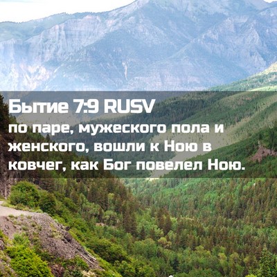 Picture 02 - Бытие 7:9 RUSV - по паре, мужеского пола и - Bible Verse Picture