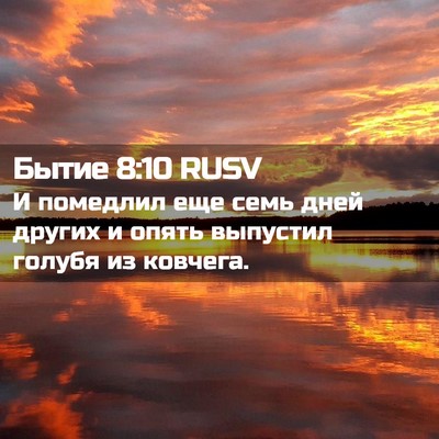 Picture 02 - Бытие 8:10 RUSV - И помедлил еще семь дней - Bible Verse Picture