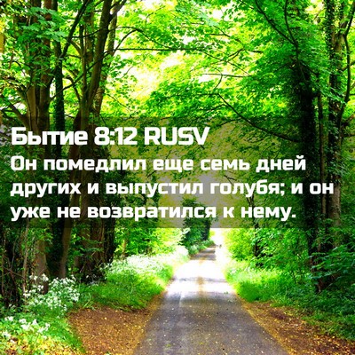 Picture 02 - Бытие 8:12 RUSV - Он помедлил еще семь дней - Bible Verse Picture