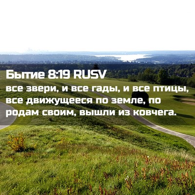 Picture 02 - Бытие 8:19 RUSV - все звери, и все гады, и все - Bible Verse Picture