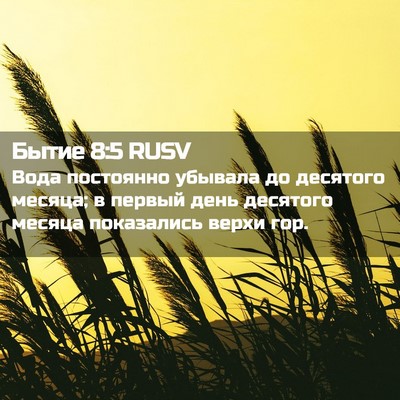 Picture 02 - Бытие 8:5 RUSV - Вода постоянно убывала до - Bible Verse Picture