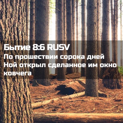 Picture 02 - Бытие 8:6 RUSV - По прошествии сорока дней - Bible Verse Picture