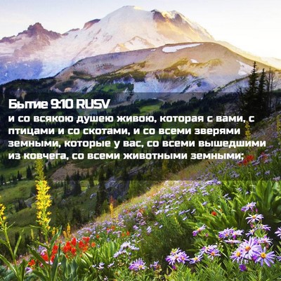 Picture 02 - Бытие 9:10 RUSV - и со всякою душею живою, - Bible Verse Picture