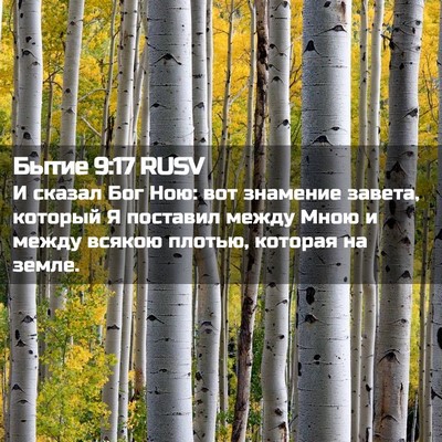 Picture 02 - Бытие 9:17 RUSV - И сказал Бог Ною: вот - Bible Verse Picture
