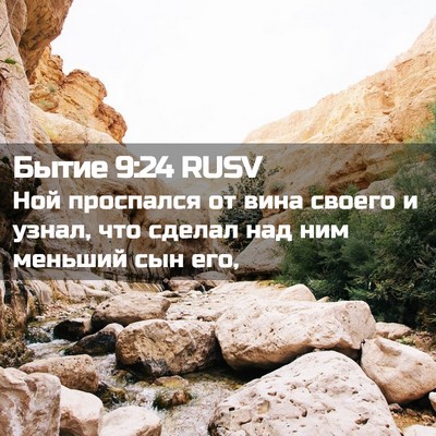 Picture 02 - Бытие 9:24 RUSV - Ной проспался от вина - Bible Verse Picture