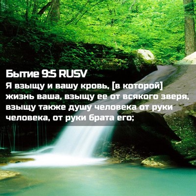 Picture 02 - Бытие 9:5 RUSV - Я взыщу и вашу кровь, [в - Bible Verse Picture