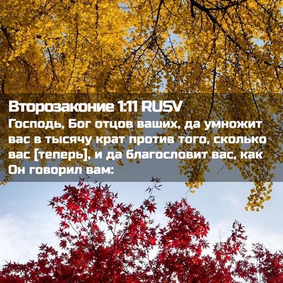 Picture 02 - Второзаконие 1:11 RUSV - Господь, Бог отцов ваших, - Bible Verse Picture