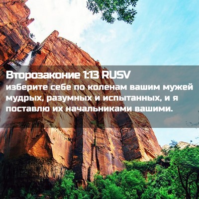 Picture 02 - Второзаконие 1:13 RUSV - изберите себе по коленам - Bible Verse Picture