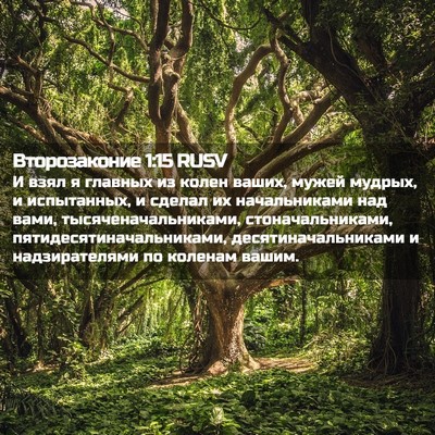 Picture 02 - Второзаконие 1:15 RUSV - И взял я главных из колен - Bible Verse Picture