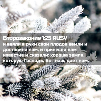 Picture 02 - Второзаконие 1:25 RUSV - и взяли в руки свои плодов - Bible Verse Picture
