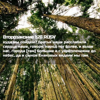 Picture 02 - Второзаконие 1:28 RUSV - куда мы пойдем? братья наши - Bible Verse Picture