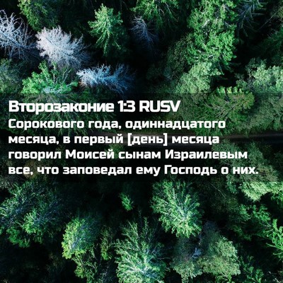 Picture 02 - Второзаконие 1:3 RUSV - Сорокового года, - Bible Verse Picture