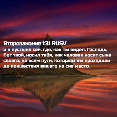 Picture 02 - Второзаконие 1:31 RUSV - и в пустыне сей, где, как ты - Bible Verse Picture
