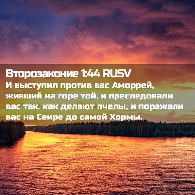 Picture 02 - Второзаконие 1:44 RUSV - И выступил против вас - Bible Verse Picture