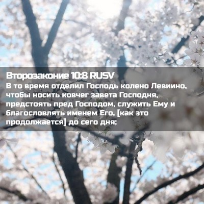 Picture 02 - Второзаконие 10:8 RUSV - В то время отделил Господь - Bible Verse Picture