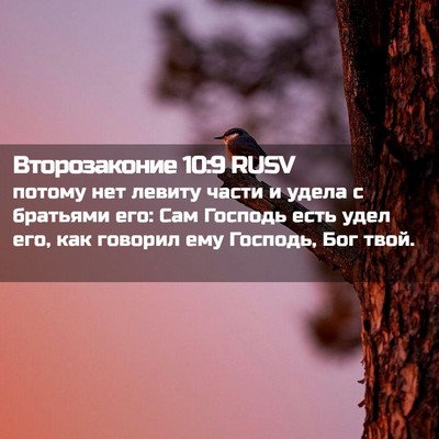 Picture 02 - Второзаконие 10:9 RUSV - потому нет левиту части и - Bible Verse Picture