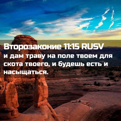 Picture 02 - Второзаконие 11:15 RUSV - и дам траву на поле твоем - Bible Verse Picture