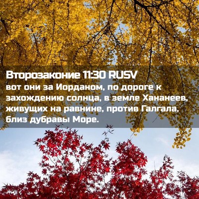 Picture 02 - Второзаконие 11:30 RUSV - вот они за Иорданом, по - Bible Verse Picture