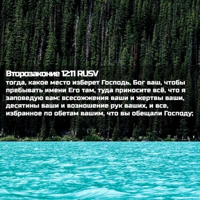 Picture 02 - Второзаконие 12:11 RUSV - тогда, какое место изберет - Bible Verse Picture