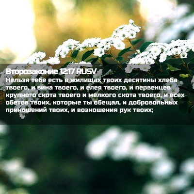 Picture 02 - Второзаконие 12:17 RUSV - Нельзя тебе есть в жилищах - Bible Verse Picture