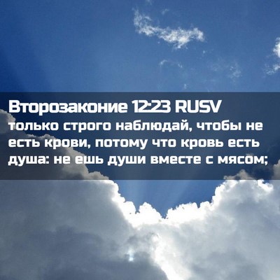 Picture 02 - Второзаконие 12:23 RUSV - только строго наблюдай, - Bible Verse Picture