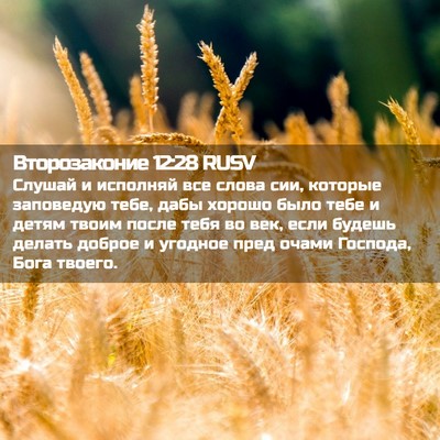 Picture 02 - Второзаконие 12:28 RUSV - Слушай и исполняй все - Bible Verse Picture