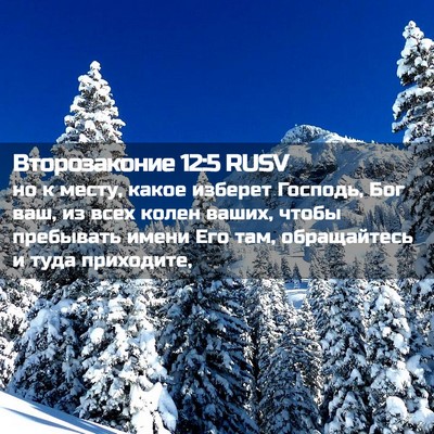 Picture 02 - Второзаконие 12:5 RUSV - но к месту, какое изберет - Bible Verse Picture