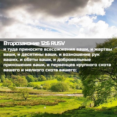 Picture 02 - Второзаконие 12:6 RUSV - и туда приносите - Bible Verse Picture