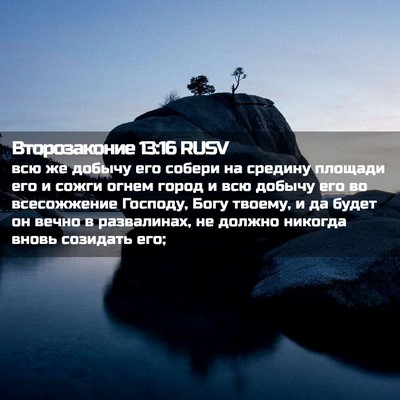 Picture 02 - Второзаконие 13:16 RUSV - всю же добычу его собери на - Bible Verse Picture