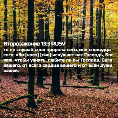 Picture 02 - Второзаконие 13:3 RUSV - то не слушай слов пророка - Bible Verse Picture