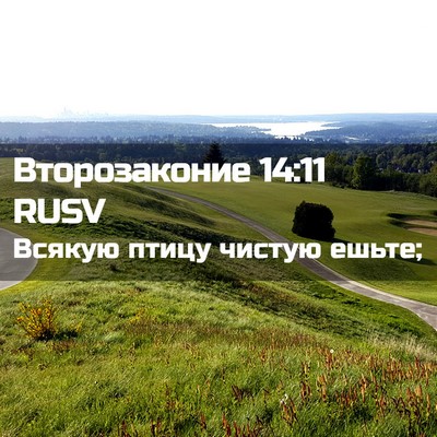 Picture 02 - Второзаконие 14:11 RUSV - Всякую птицу чистую - Bible Verse Picture