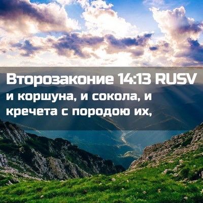 Picture 02 - Второзаконие 14:13 RUSV - и коршуна, и сокола, и - Bible Verse Picture