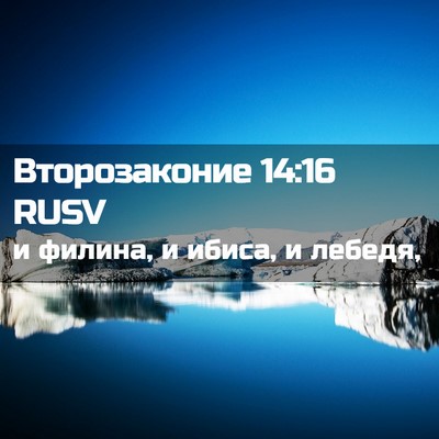 Picture 02 - Второзаконие 14:16 RUSV - и филина, и ибиса, и - Bible Verse Picture