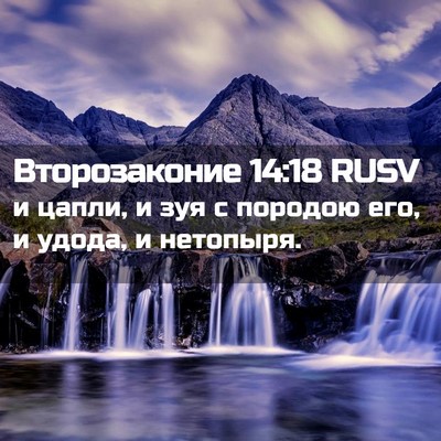 Picture 02 - Второзаконие 14:18 RUSV - и цапли, и зуя с породою - Bible Verse Picture