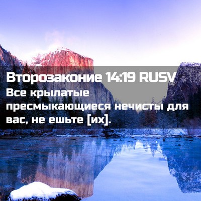 Picture 02 - Второзаконие 14:19 RUSV - Все крылатые - Bible Verse Picture