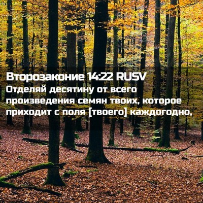 Picture 02 - Второзаконие 14:22 RUSV - Отделяй десятину от всего - Bible Verse Picture